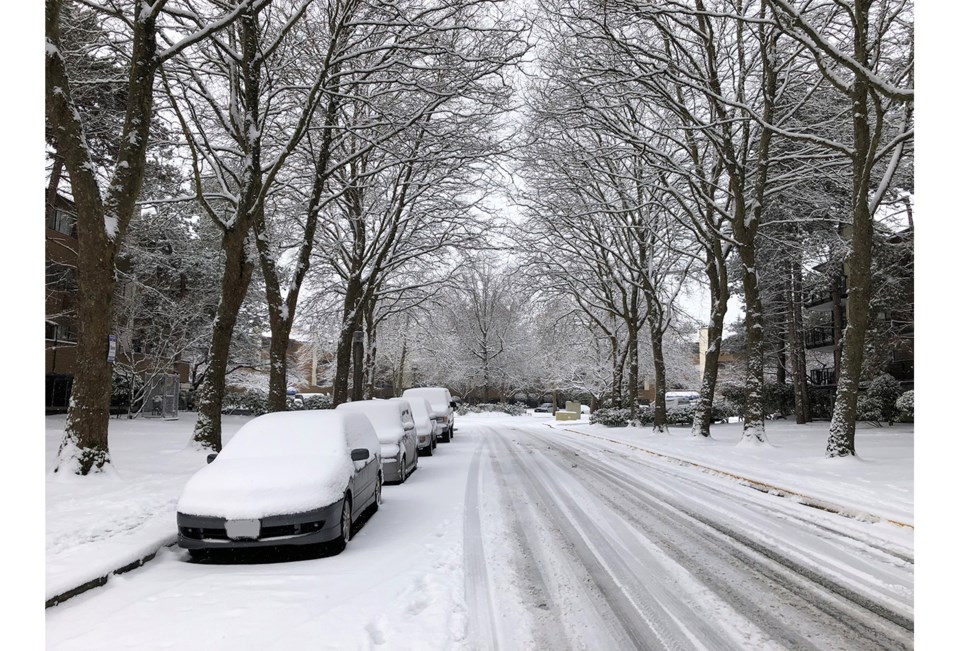 James Yu snow day near Minoru Park 2